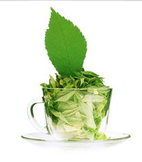 品味台湾清新 四两绿茶饮产品与店铺视觉之美