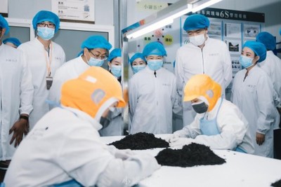 传承技艺，创新工业 混沌大学创新商学院黄山寻味现代派小罐茶